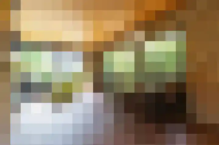 Boschmansweg 6 a Schoorl thumbnail 13