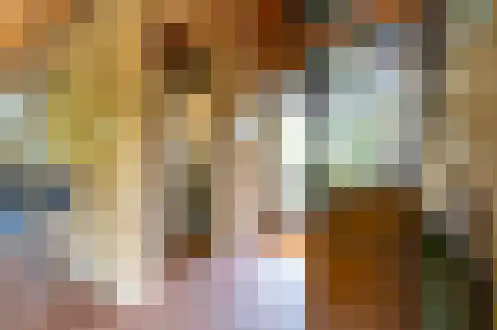 Boschmansweg 6 a Schoorl thumbnail 17