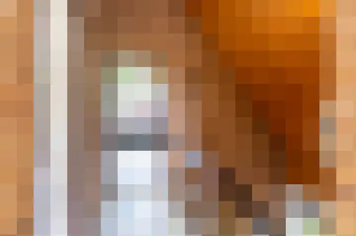 Boschmansweg 6 a Schoorl thumbnail 19