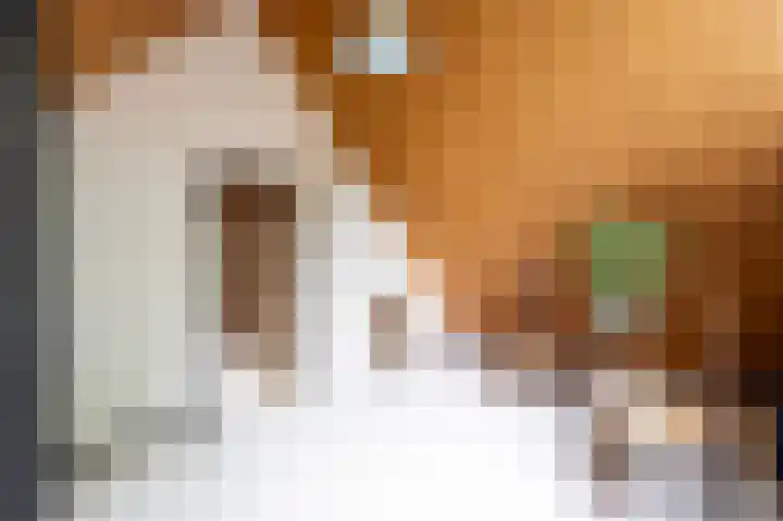 Boschmansweg 6 a Schoorl thumbnail 21