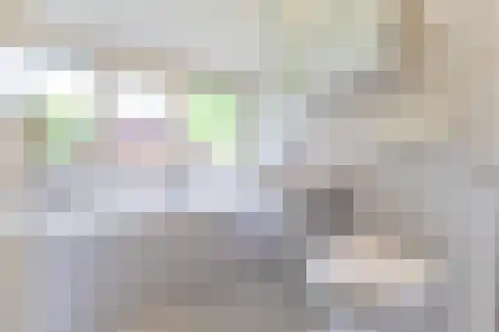 Boschmansweg 6 a Schoorl thumbnail 22