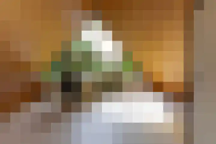 Boschmansweg 6 a Schoorl thumbnail 26