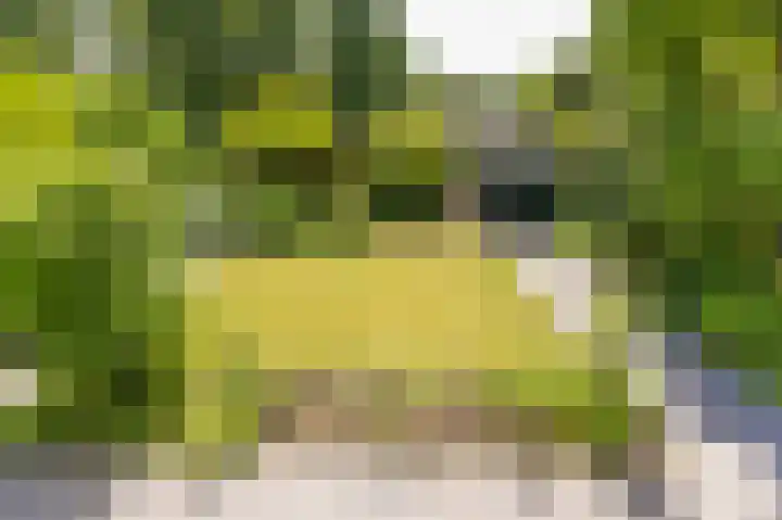 Boschmansweg 6 a Schoorl thumbnail 27