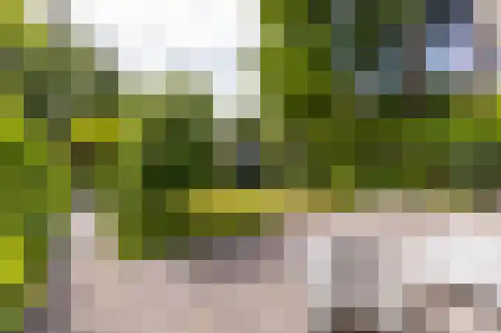 Boschmansweg 6 a Schoorl thumbnail 28