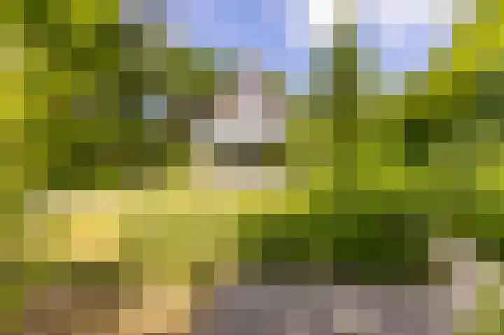 Boschmansweg 6 a Schoorl thumbnail 30