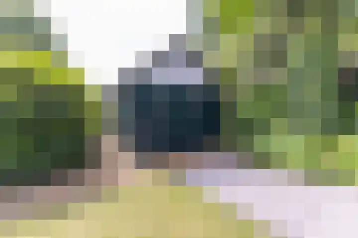 Boschmansweg 6 a Schoorl thumbnail 32