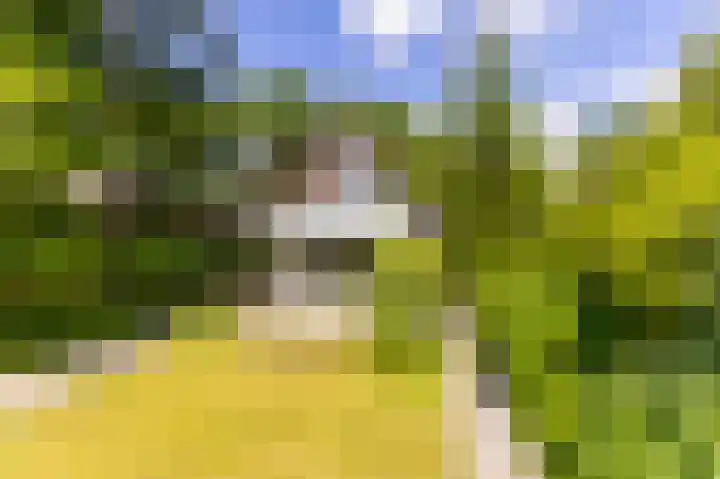 Boschmansweg 6 a Schoorl thumbnail 33
