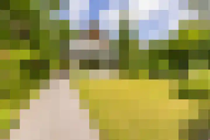 Boschmansweg 6 a Schoorl thumbnail 34