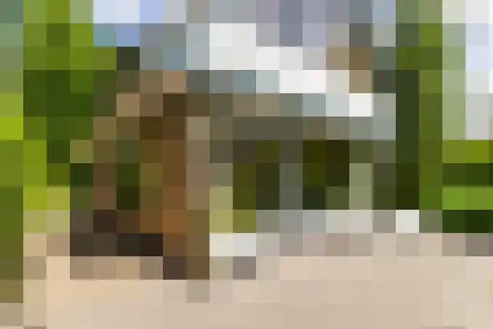 Boschmansweg 6 a Schoorl thumbnail 35