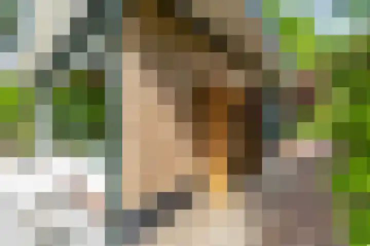 Boschmansweg 6 a Schoorl thumbnail 36