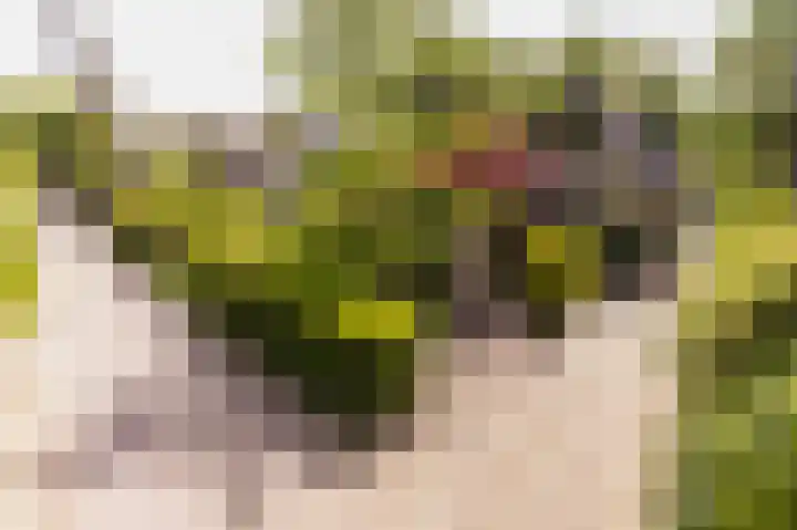 Boschmansweg 6 a Schoorl thumbnail 37