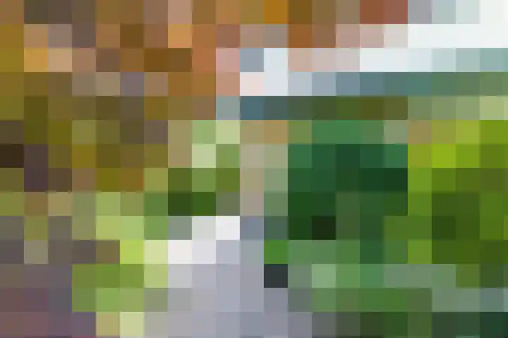 Boschmansweg 6 a Schoorl thumbnail 5