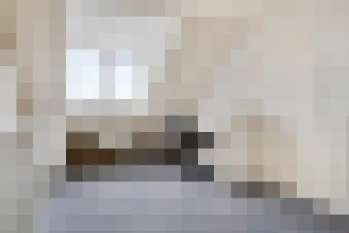 Boschmeersingel 101 's-Hertogenbosch thumbnail 21