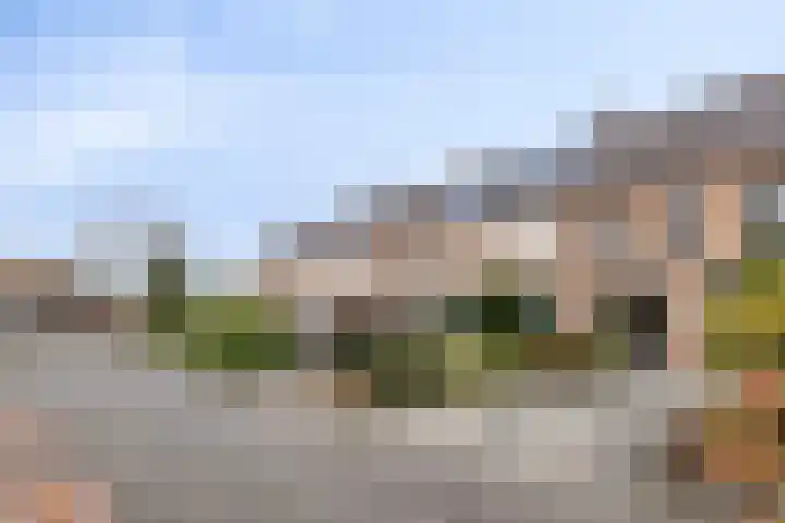 Boschmeersingel 101 's-Hertogenbosch thumbnail 23