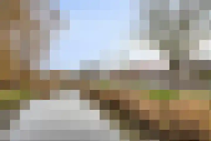 Boschmeersingel 101 's-Hertogenbosch thumbnail 24