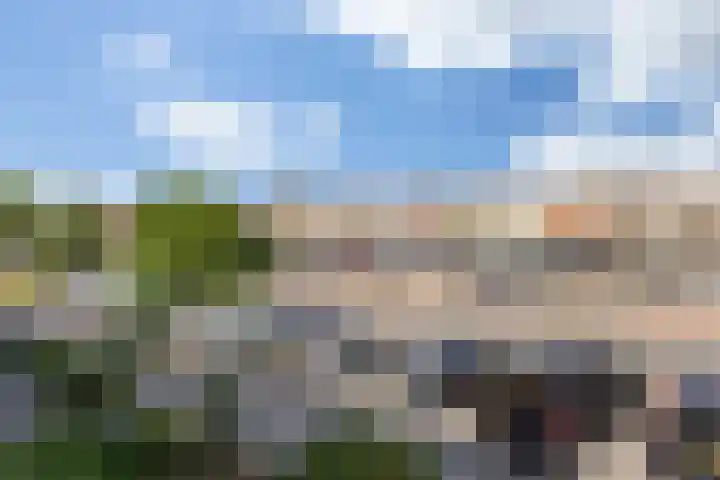 Boschmeersingel 90 's-Hertogenbosch thumbnail 20