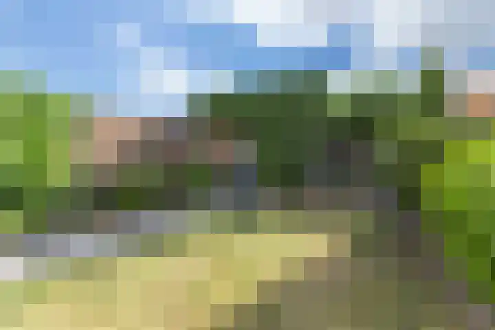 Boschmeersingel 90 's-Hertogenbosch thumbnail 31