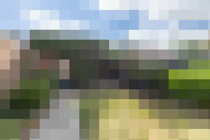 Boschmeersingel 90 's-Hertogenbosch thumbnail 33