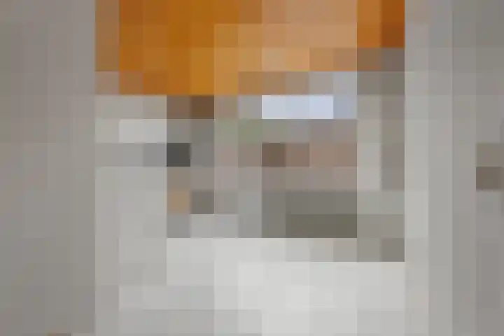 Boschmeersingel 94 's-Hertogenbosch thumbnail 12