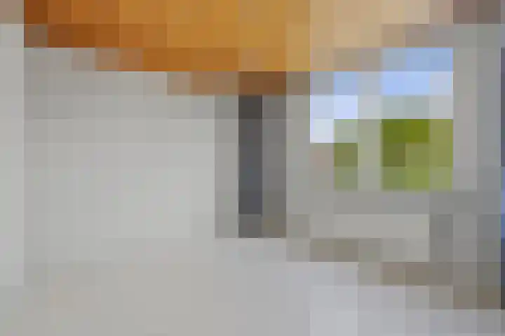 Boschmeersingel 94 's-Hertogenbosch thumbnail 20