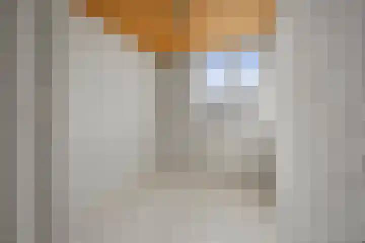 Boschmeersingel 94 's-Hertogenbosch thumbnail 22
