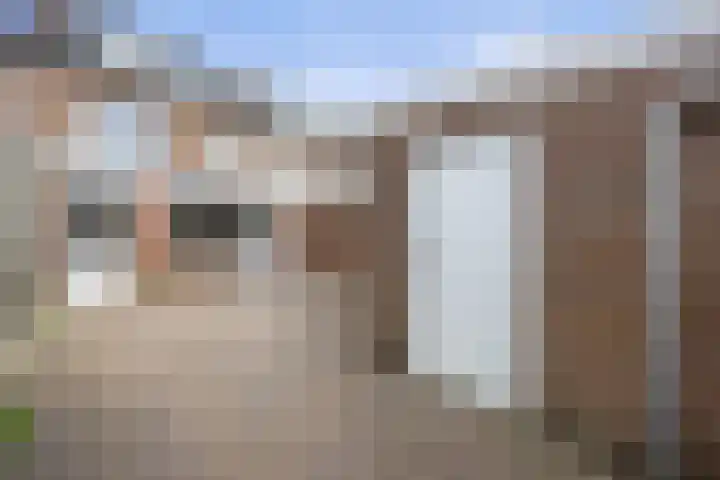 Boschmeersingel 94 's-Hertogenbosch thumbnail 30
