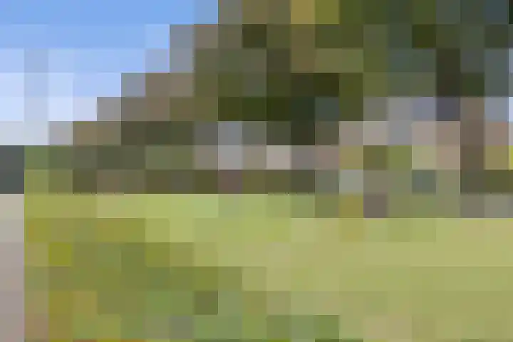 Boschmeersingel 94 's-Hertogenbosch thumbnail 34