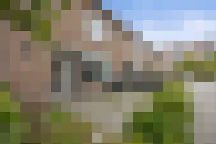 Boschmeersingel 94 's-Hertogenbosch thumbnail 5