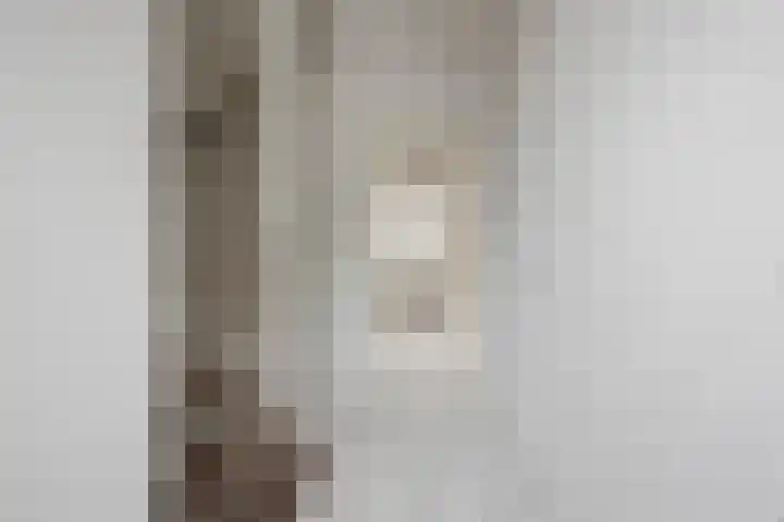 Boschmeersingel 94 's-Hertogenbosch thumbnail 6