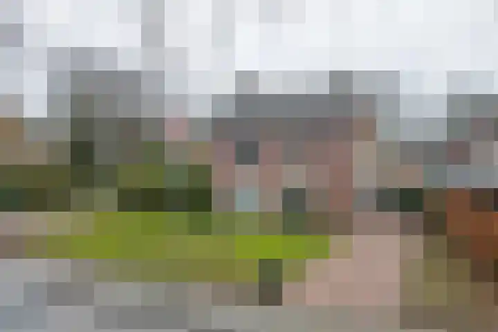 Boschovenseweg 12 Baarle-Nassau thumbnail 38