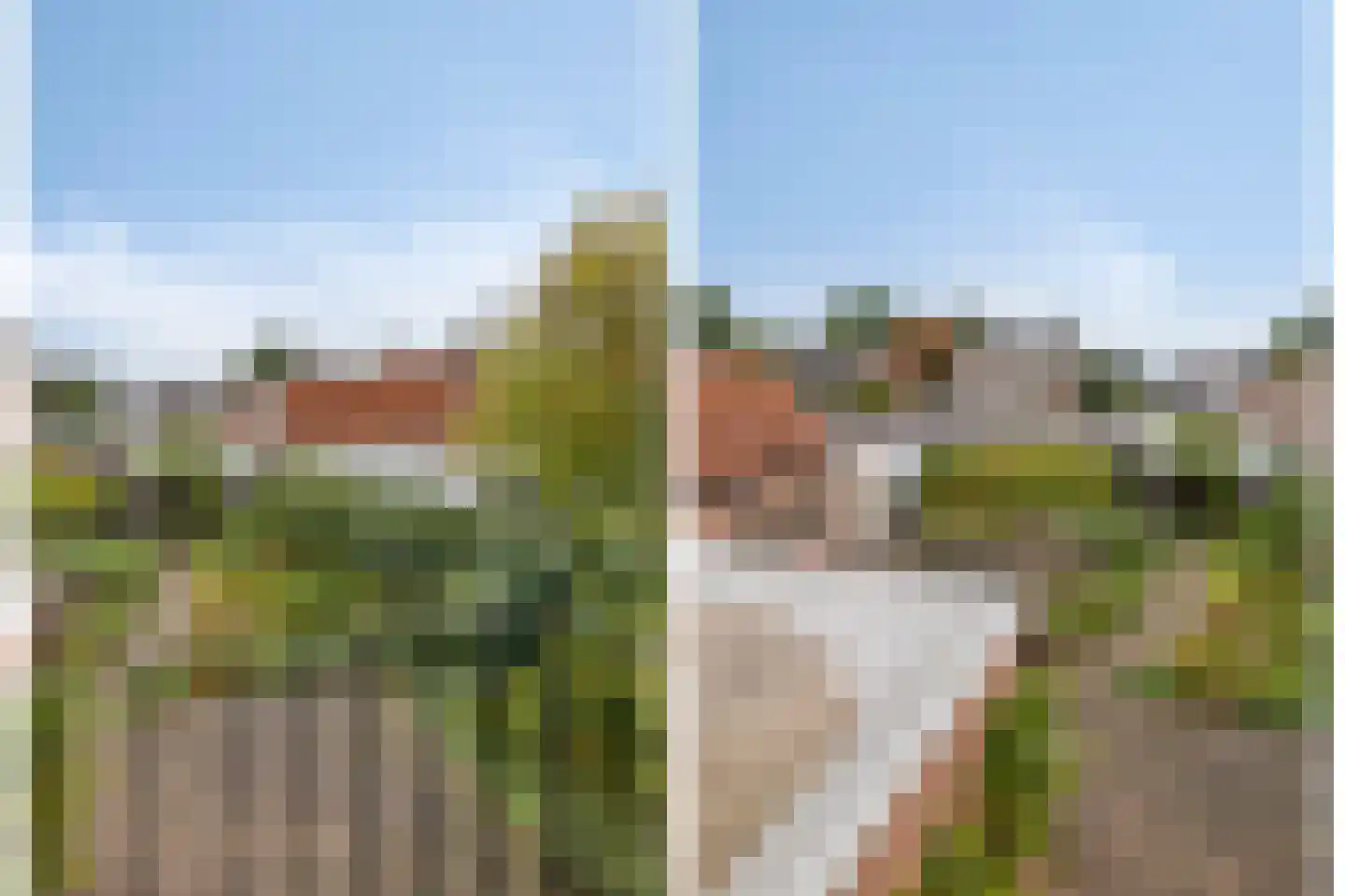 Boschovenseweg 4 Baarle-Nassau thumbnail 39