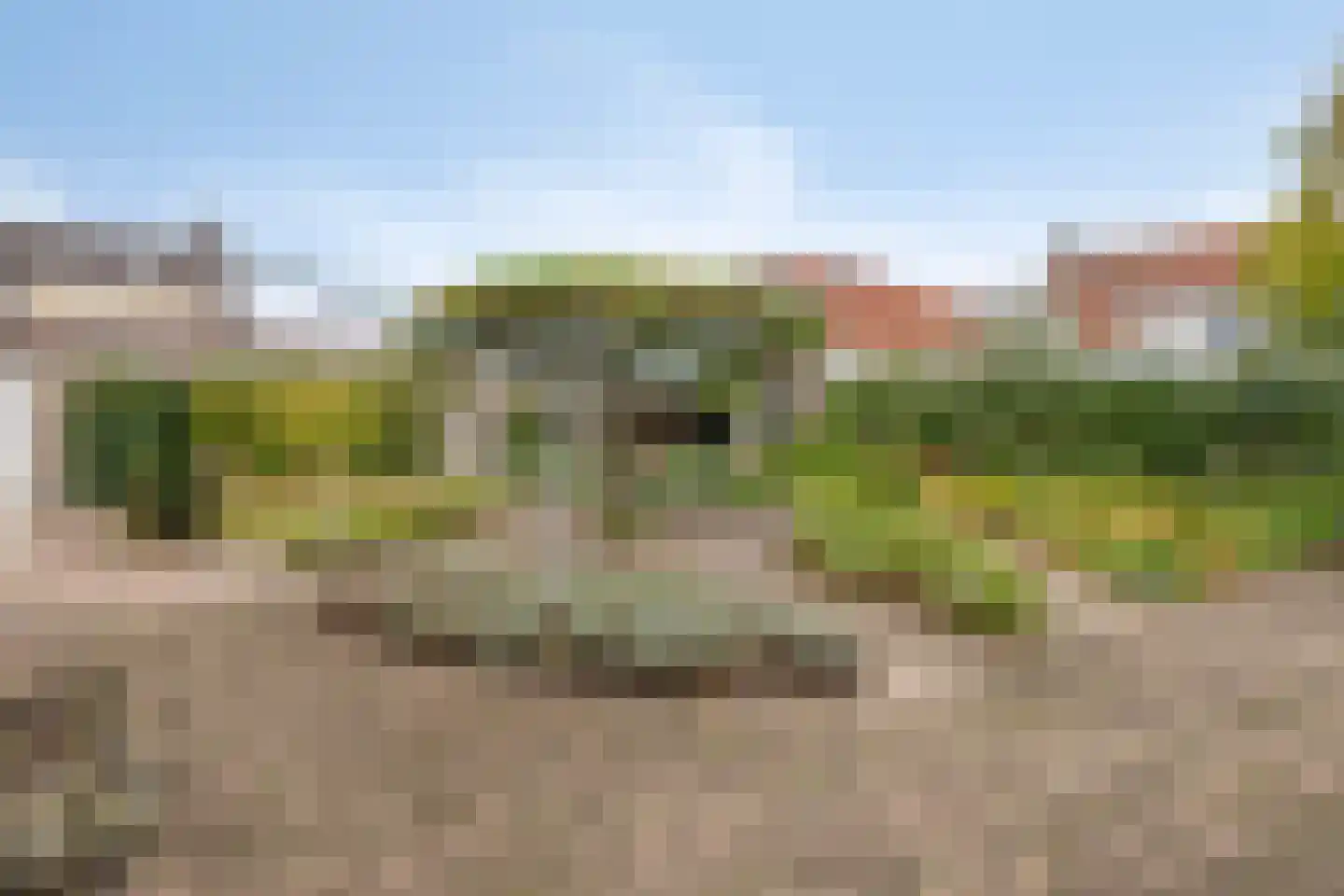 Boschovenseweg 4 Baarle-Nassau thumbnail 58
