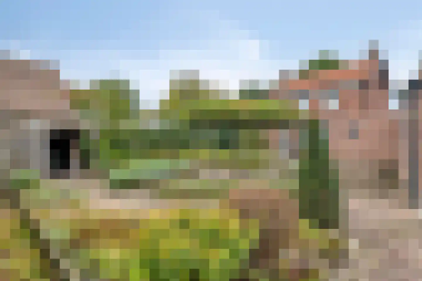 Boschovenseweg 4 Baarle-Nassau thumbnail 70