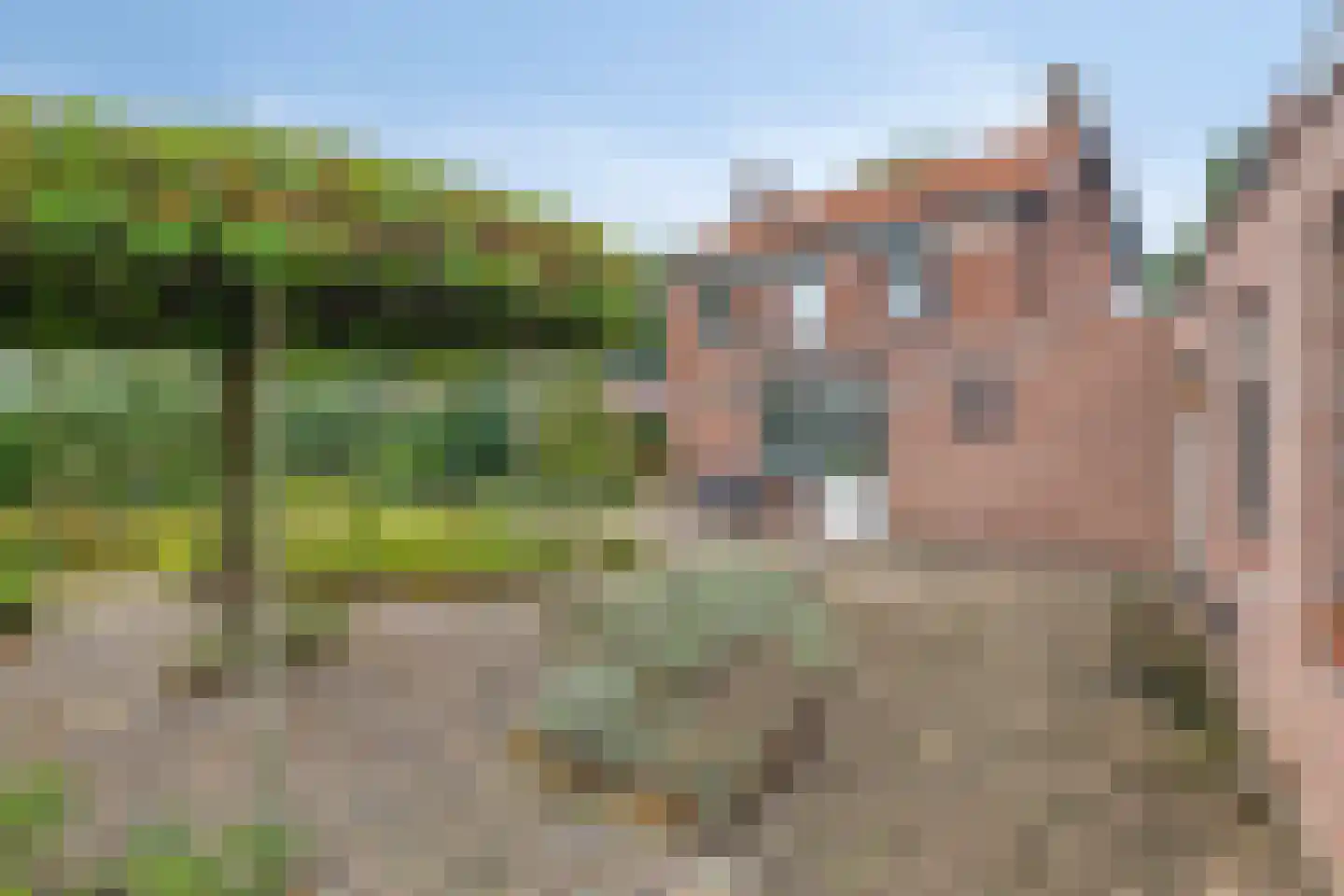 Boschovenseweg 4 Baarle-Nassau thumbnail 71