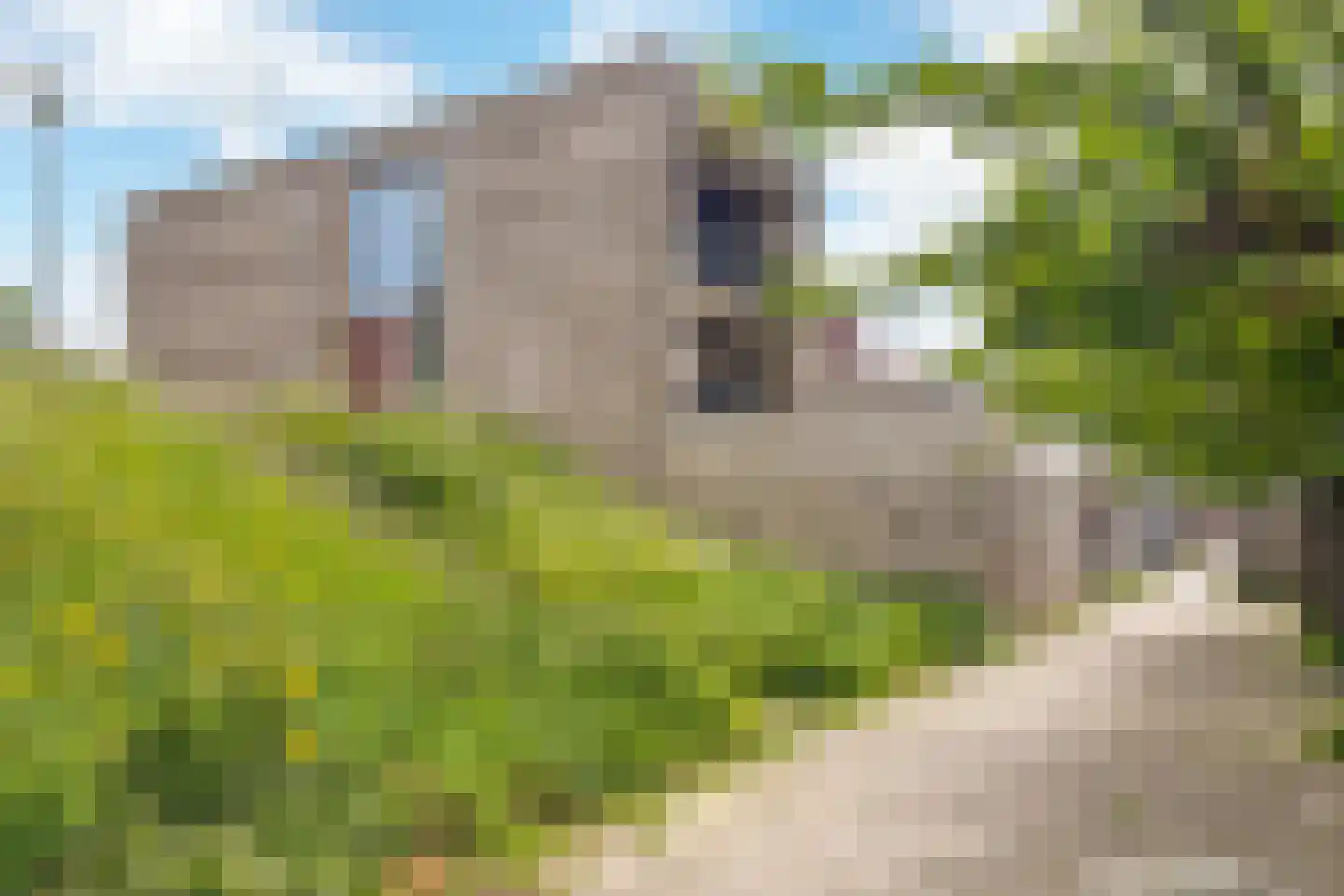 Boschplaat 120 Hoofddorp thumbnail 6