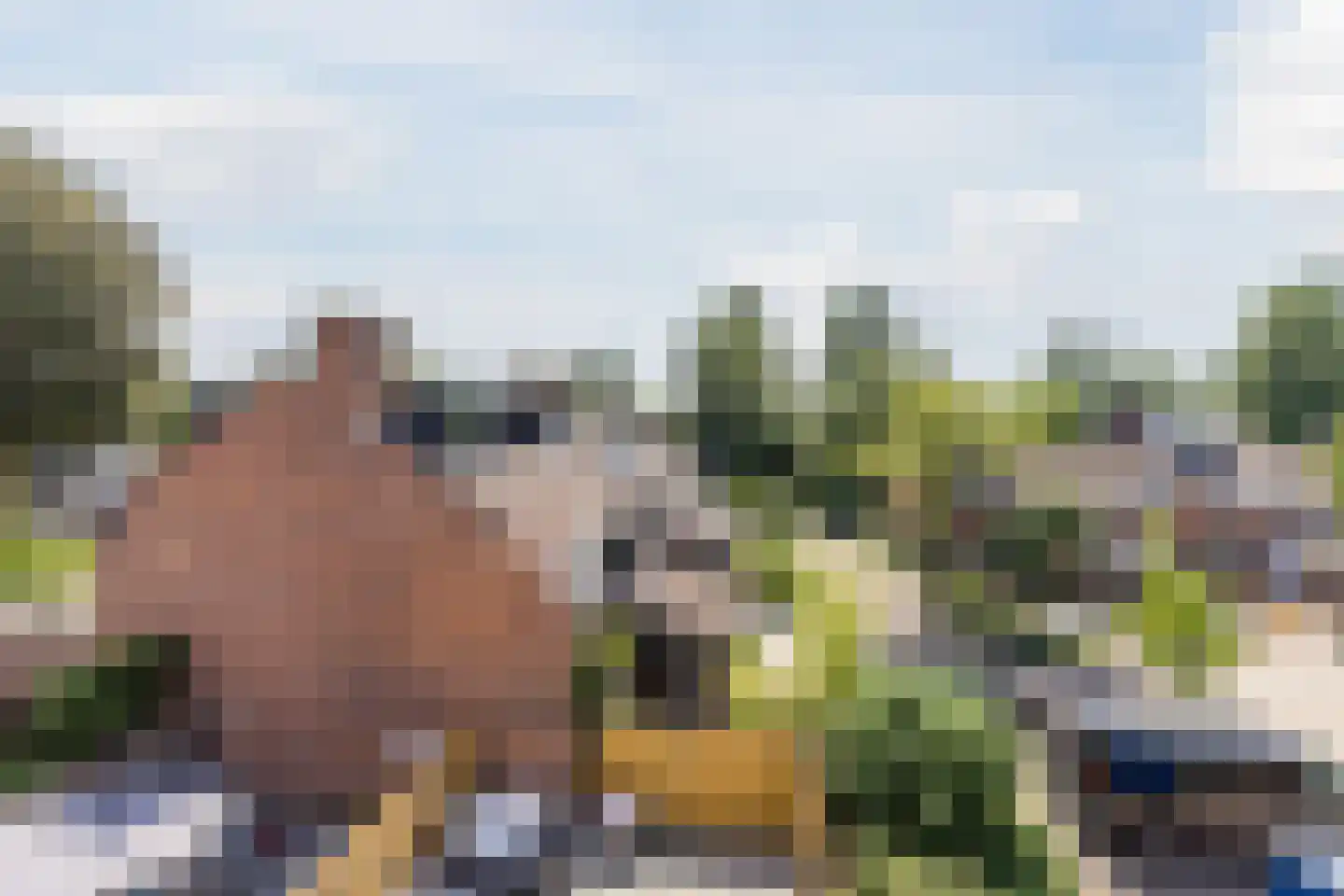 Boschplaat 2 Diemen thumbnail 56