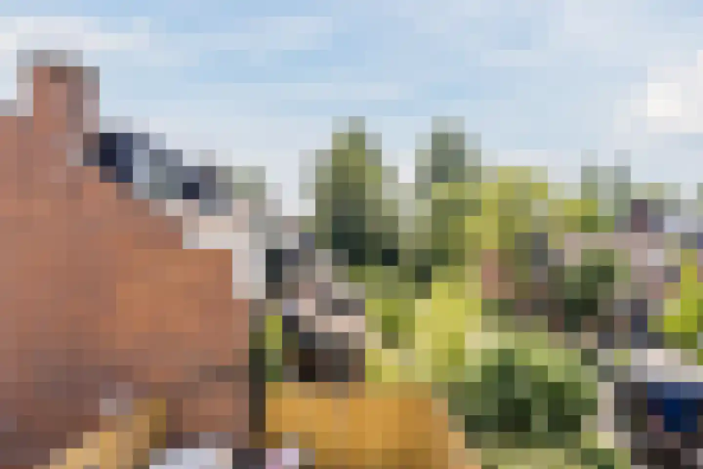 Boschplaat 2 Diemen thumbnail 57