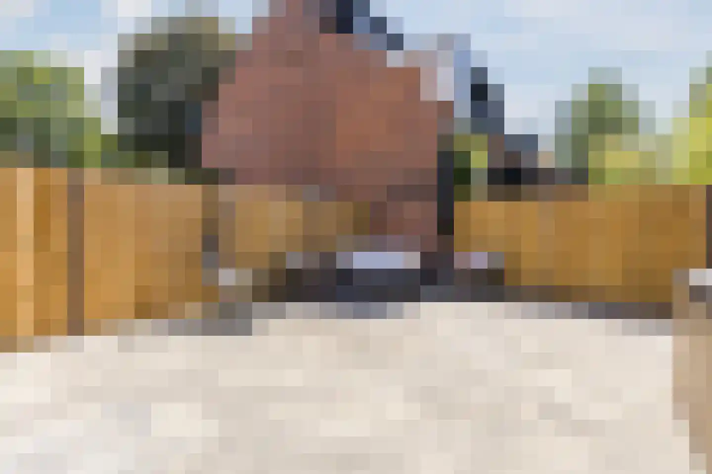 Boschplaat 2 Diemen thumbnail 60