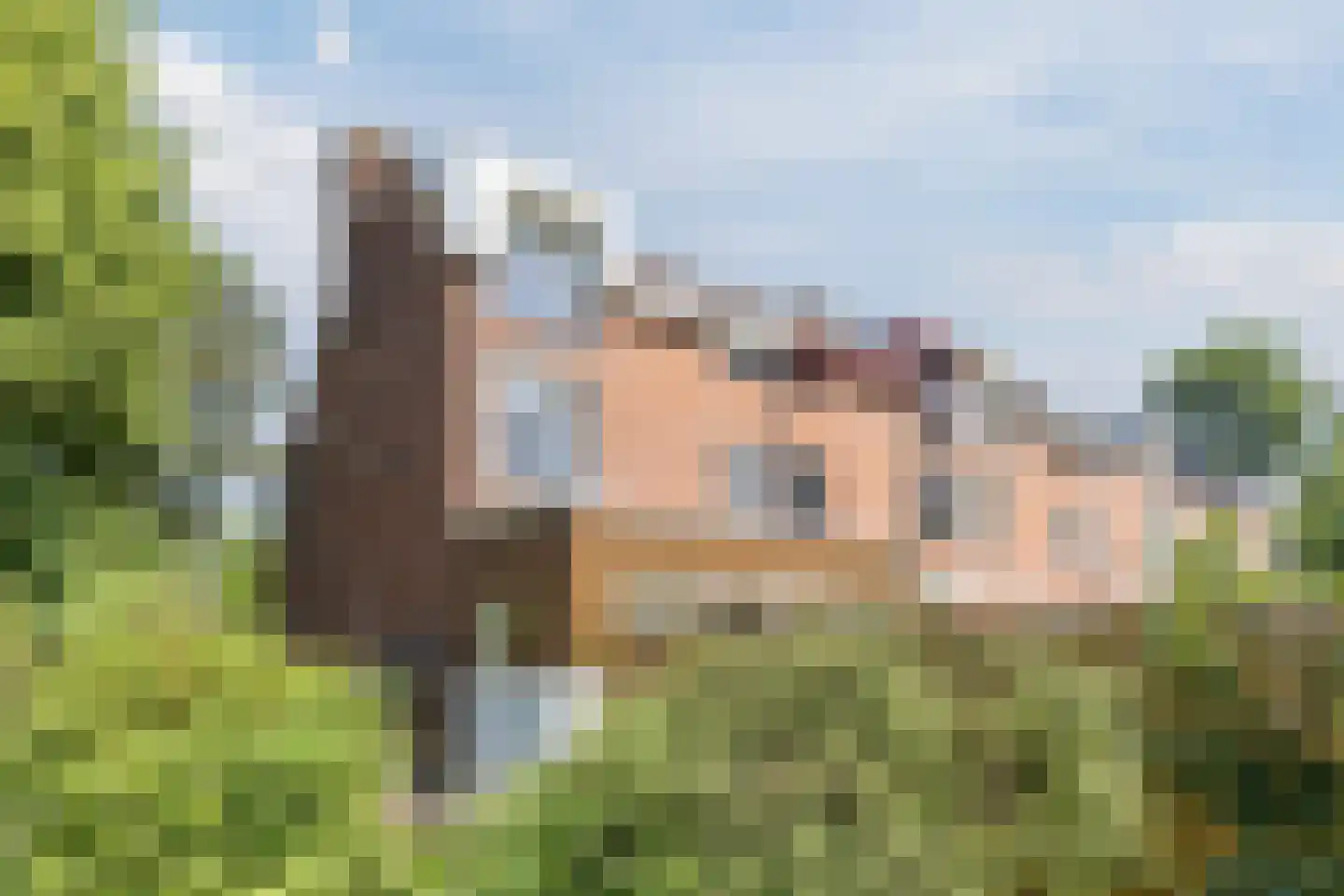 Boschplaat 2 Diemen thumbnail 64