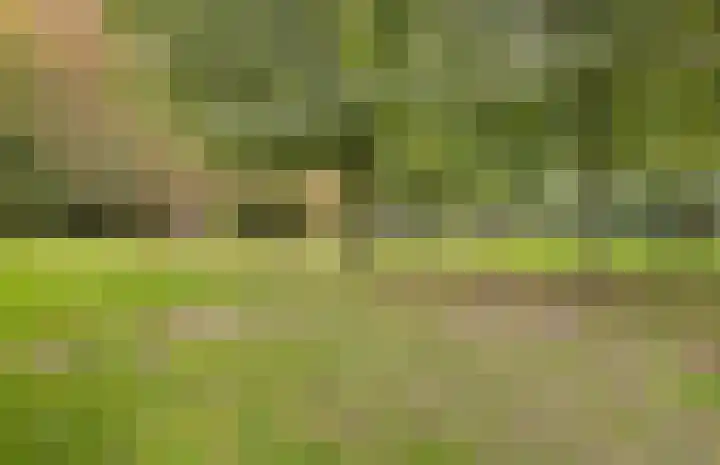Boschplaat 22 Diemen thumbnail 36