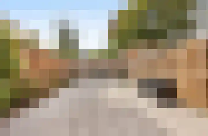 Boschplaat 22 Diemen thumbnail 6