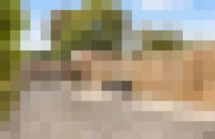 Boschplaat 22 Diemen thumbnail 7