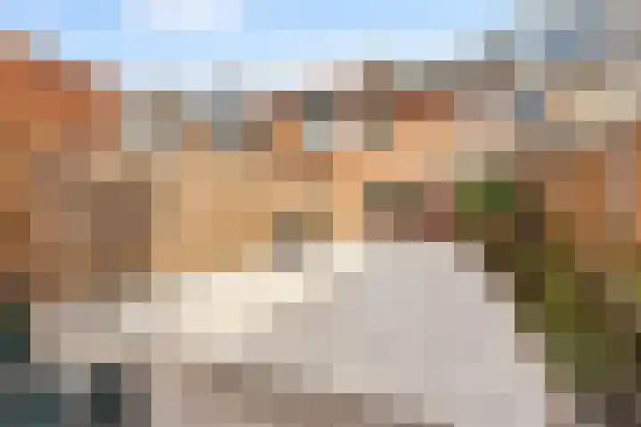 Boschplaat 22 Diemen thumbnail 8