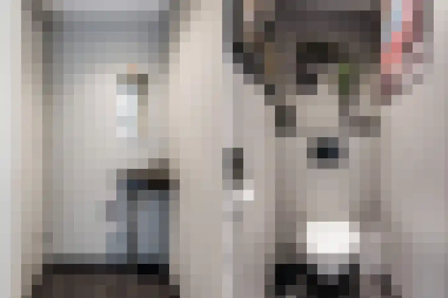 Boschplaat 23 Diemen thumbnail 21