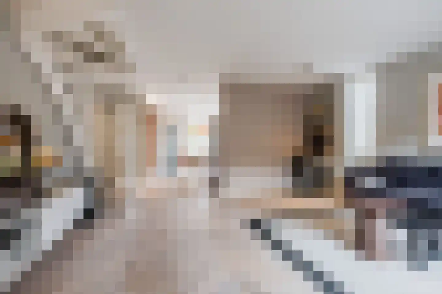 Boschplaat 23 Diemen thumbnail 8