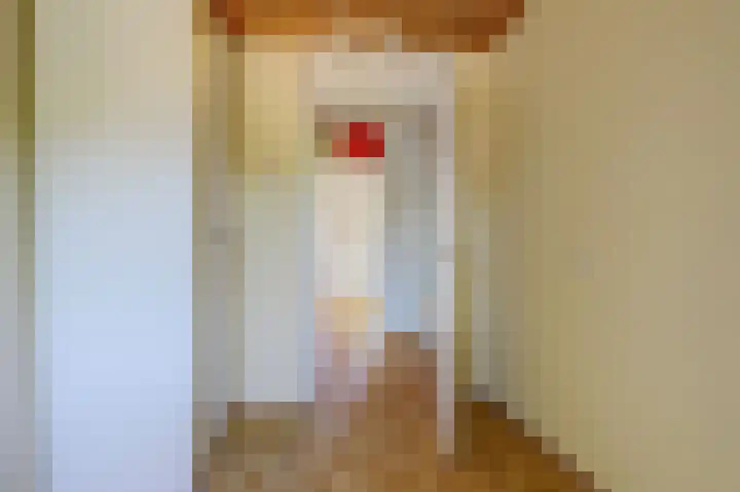 Boschplaat 25 Diemen thumbnail 28