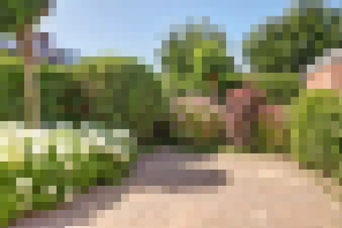 Boschplaat 25 Diemen thumbnail 37