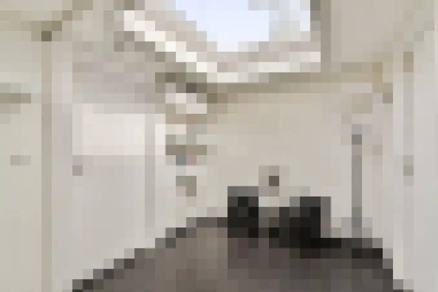 Boschplaat 40 Diemen thumbnail 12