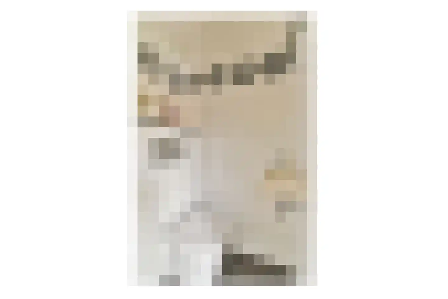 Boschplaat 40 Diemen thumbnail 13