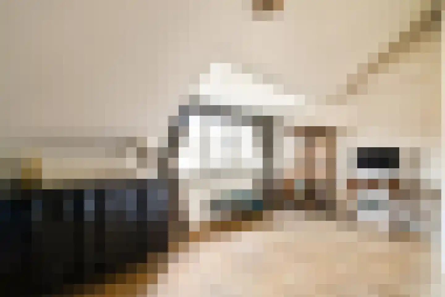 Boschplaat 40 Diemen thumbnail 20